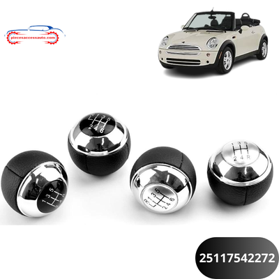 Pommeau de Vitesse-Mini - Piecesaccessauto.com